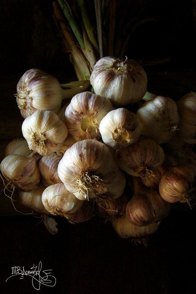 Фотовиставка Тетяни Должко